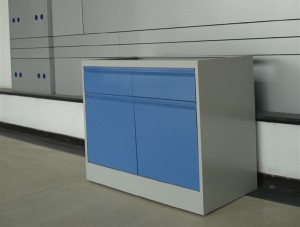 Standard Steel Cabinet for laboratory furniture（SF003）