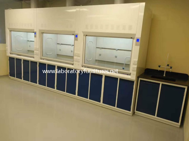 SGS Steel Lab Fume Cupboard (FC020)