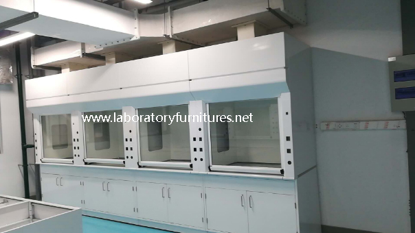 Steel Laboratory Fume Hdood (FC019)